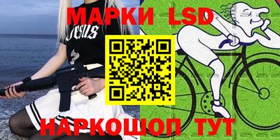шишки Вязники