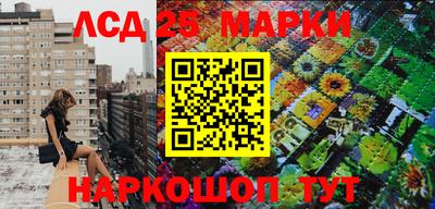 шишки Вязники