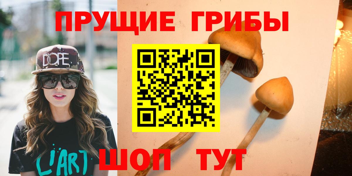 Псилоцибиновые грибы мицелий Воронеж
