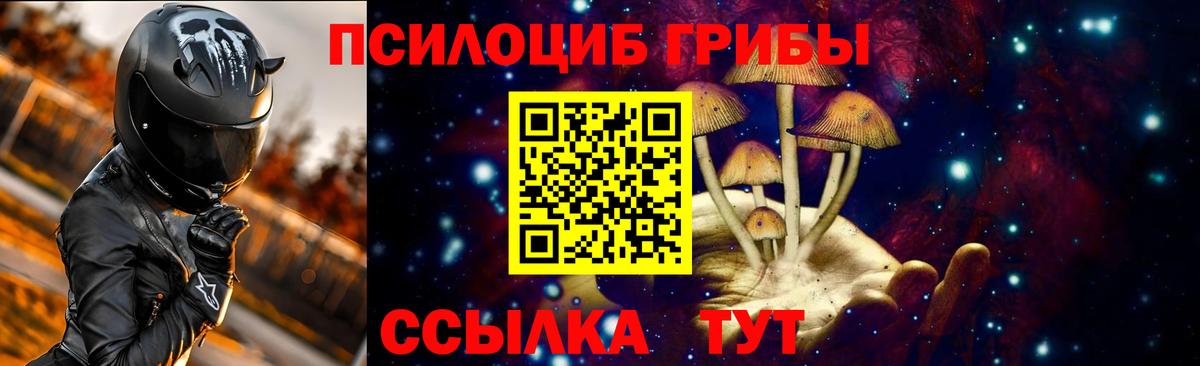 закладка  Вход с VPN  Псилоцибиновые грибы Magic Shrooms  Воронеж  Псилоцибиновые грибы Cubensis 
